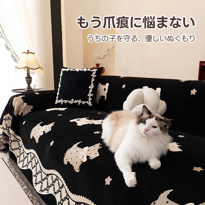 全商品ラインアップ(新着順)